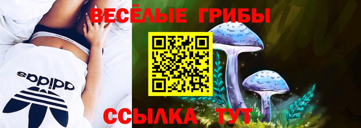 Тайшет  Псилоцибиновые грибы мицелий  Вход с VPN 